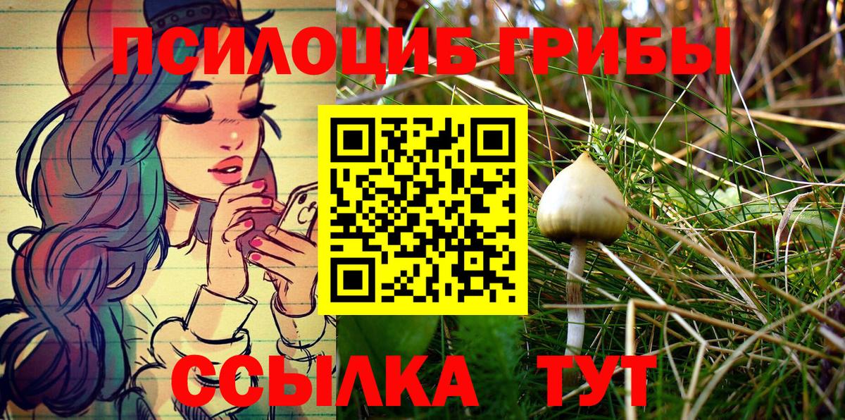 наркошоп  Вход с VPN  Вологда  Галлюциногенные грибы прущие грибы 